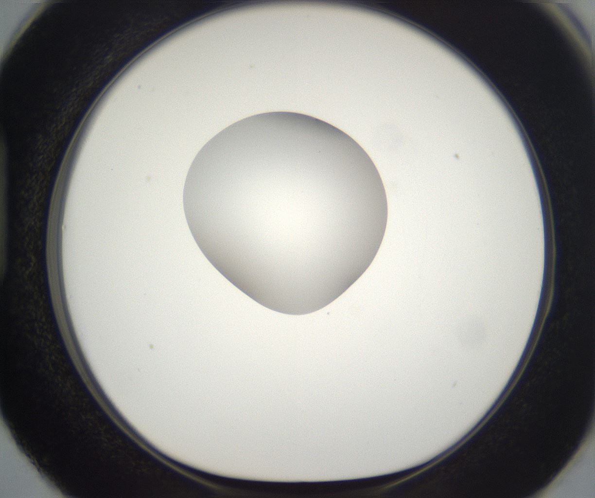 folderID265_plateID2265_batchID10362_wellNum87_profileID1_d1_r158328_ef.jpg