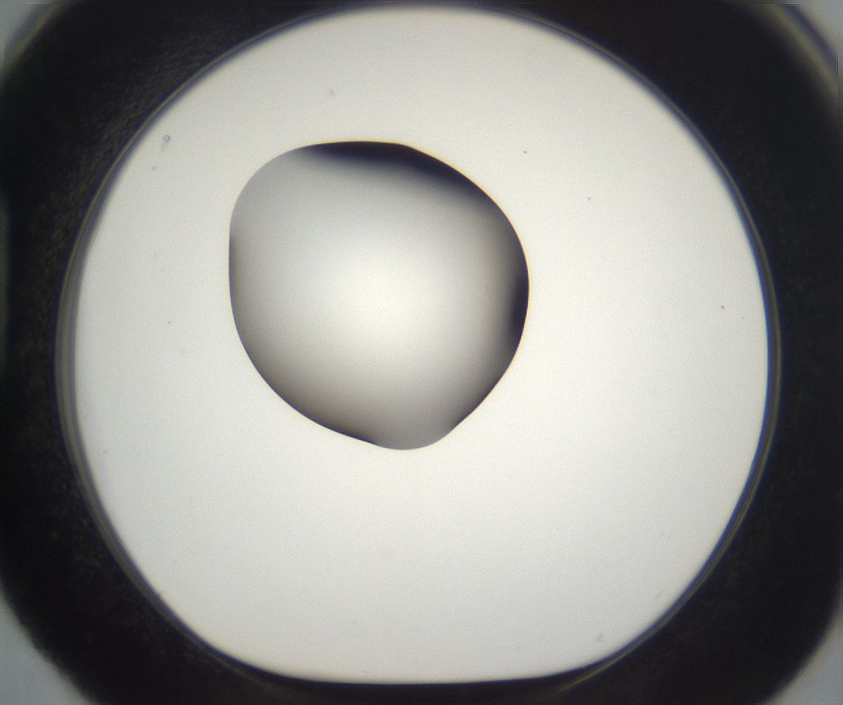 folderID265_plateID2265_batchID10362_wellNum88_profileID1_d1_r158329_ef.jpg