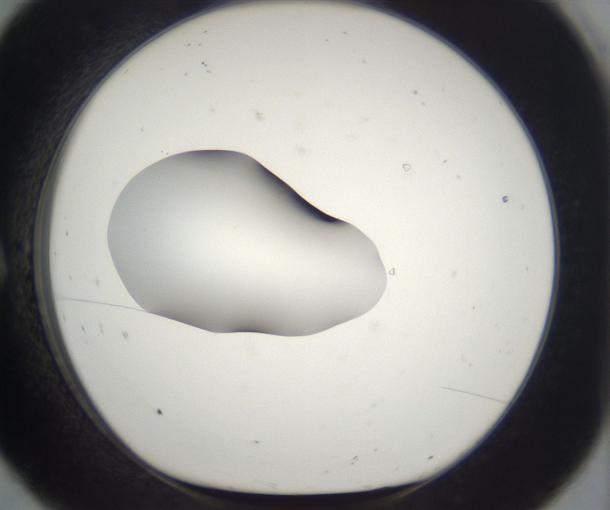 folderID265_plateID2265_batchID10362_wellNum8_profileID1_d1_r158249_ef.jpg