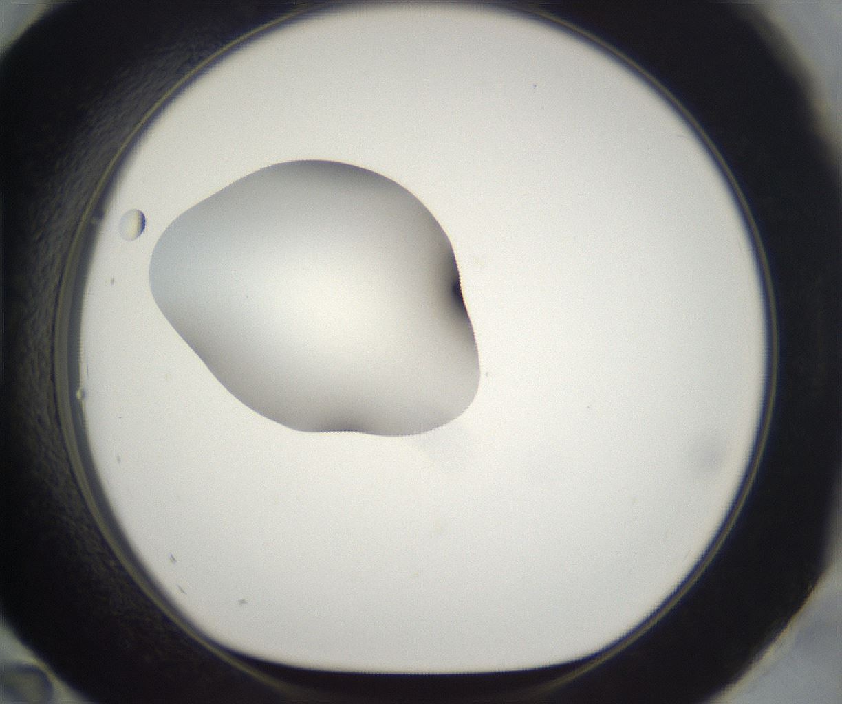 folderID265_plateID2265_batchID10362_wellNum96_profileID1_d1_r158337_ef.jpg