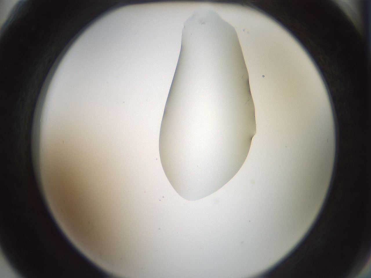 folderID265_plateID1265_batchID4190_wellNum78_profileID1_d2_r75219_ef.jpg