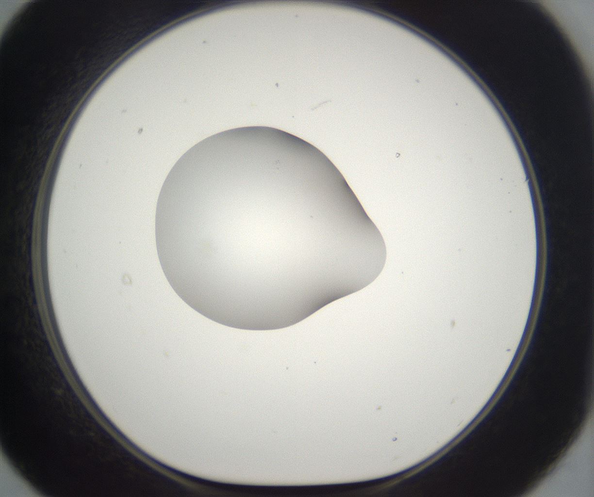 folderID265_plateID2265_batchID10362_wellNum21_profileID1_d1_r158262_ef.jpg