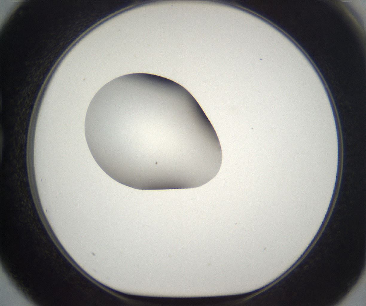 folderID265_plateID2265_batchID10362_wellNum75_profileID1_d1_r158316_ef.jpg