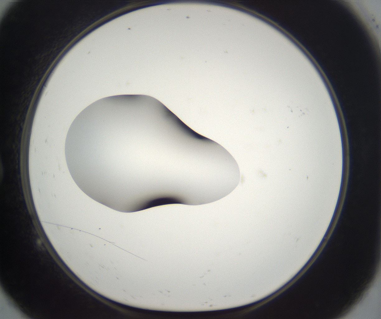 folderID265_plateID2265_batchID10362_wellNum9_profileID1_d1_r158250_ef.jpg