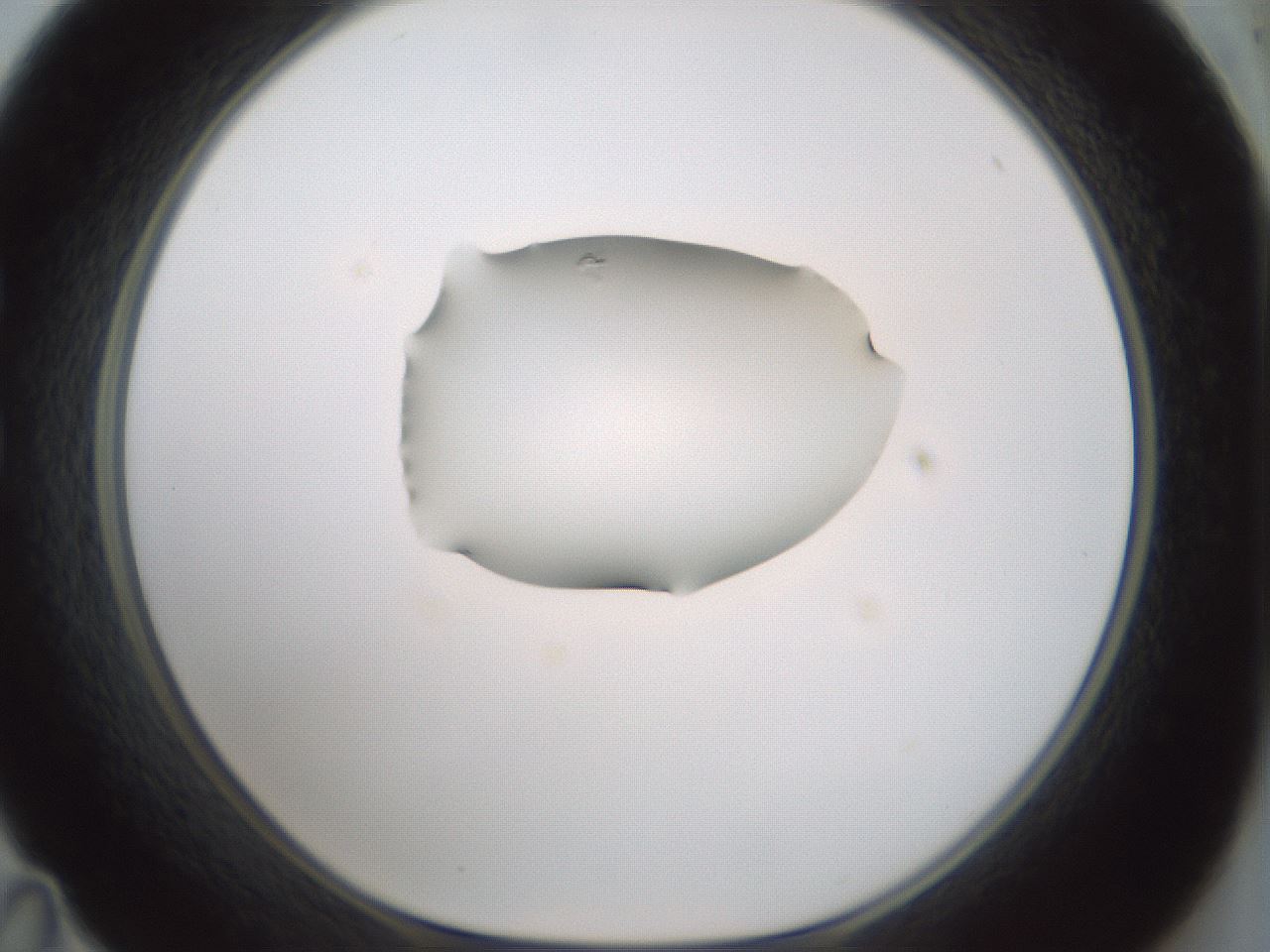 folderID266_plateID1266_batchID4191_wellNum35_profileID1_d1_r75708_ef.jpg