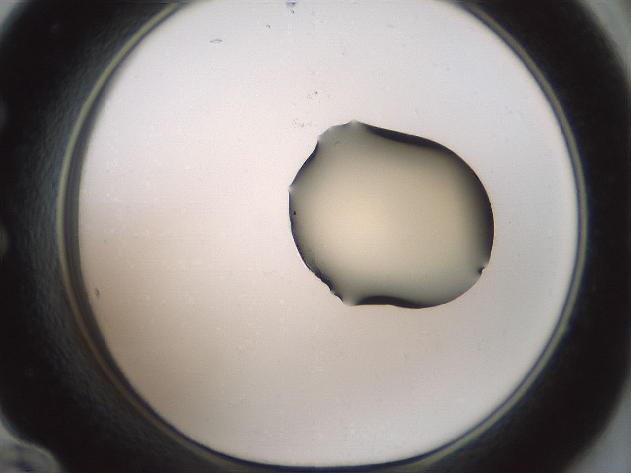 folderID266_plateID1266_batchID4191_wellNum60_profileID1_d1_r75758_ef.jpg