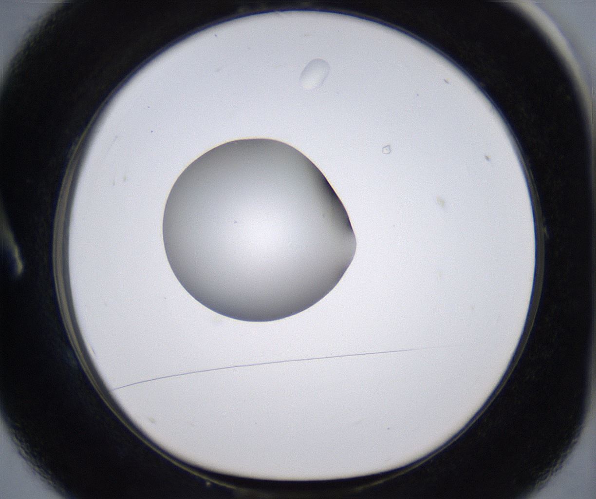 folderID266_plateID2266_batchID10358_wellNum1_profileID1_d1_r157954_ef.jpg