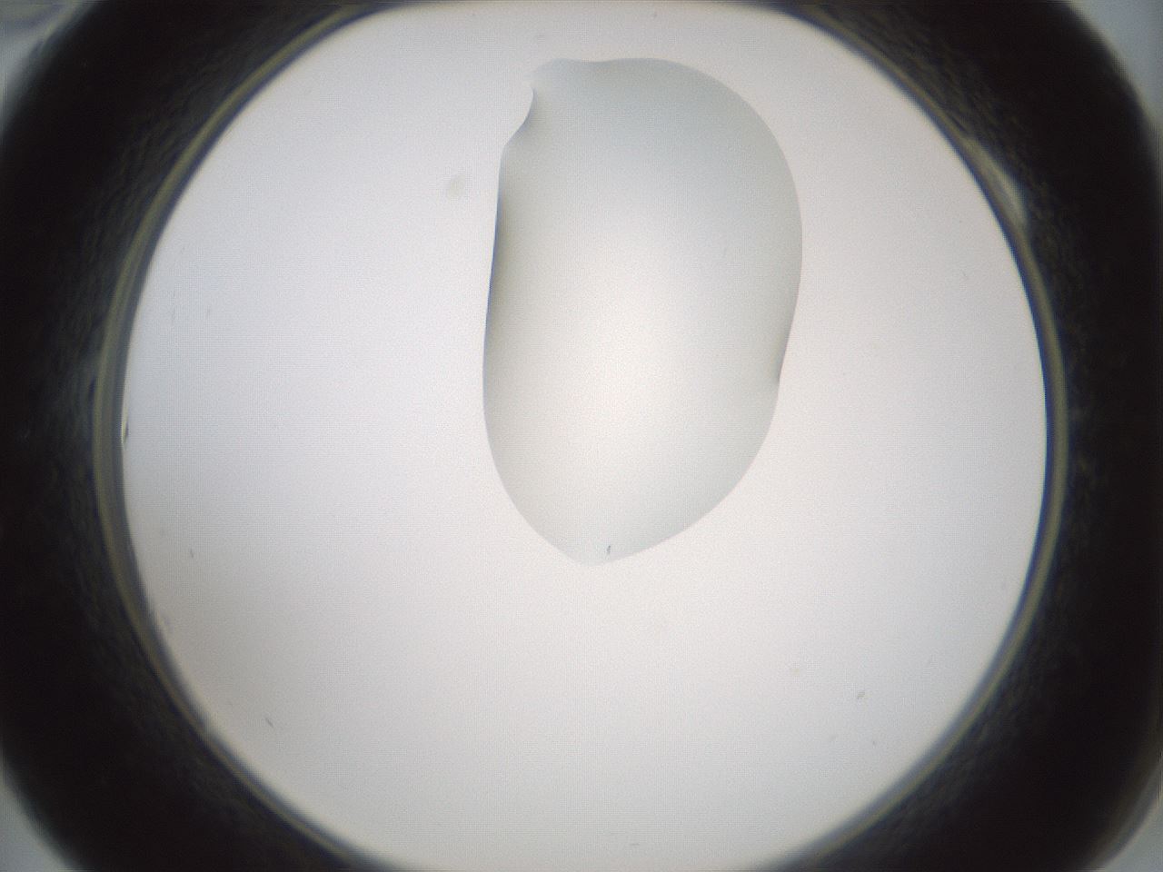 folderID266_plateID1266_batchID4191_wellNum10_profileID1_d2_r75659_ef.jpg