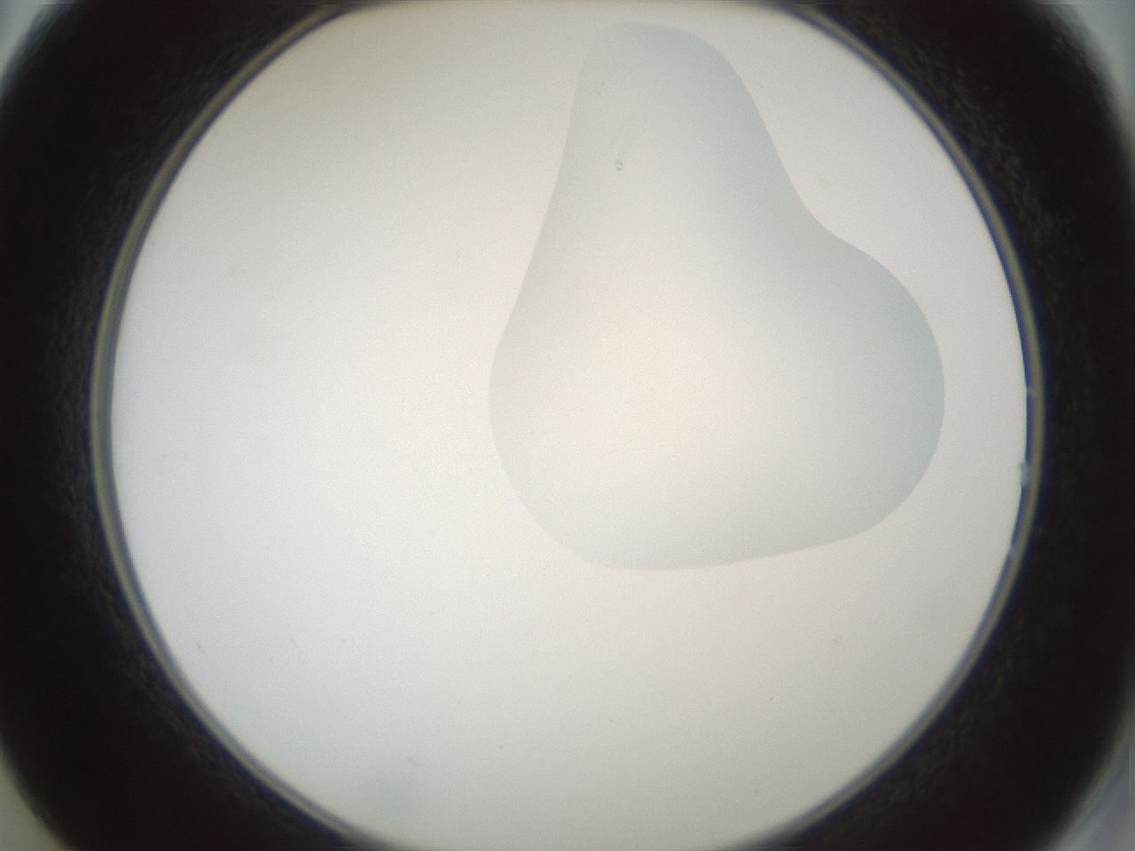 folderID266_plateID1266_batchID4191_wellNum14_profileID1_d2_r75667_ef.jpg