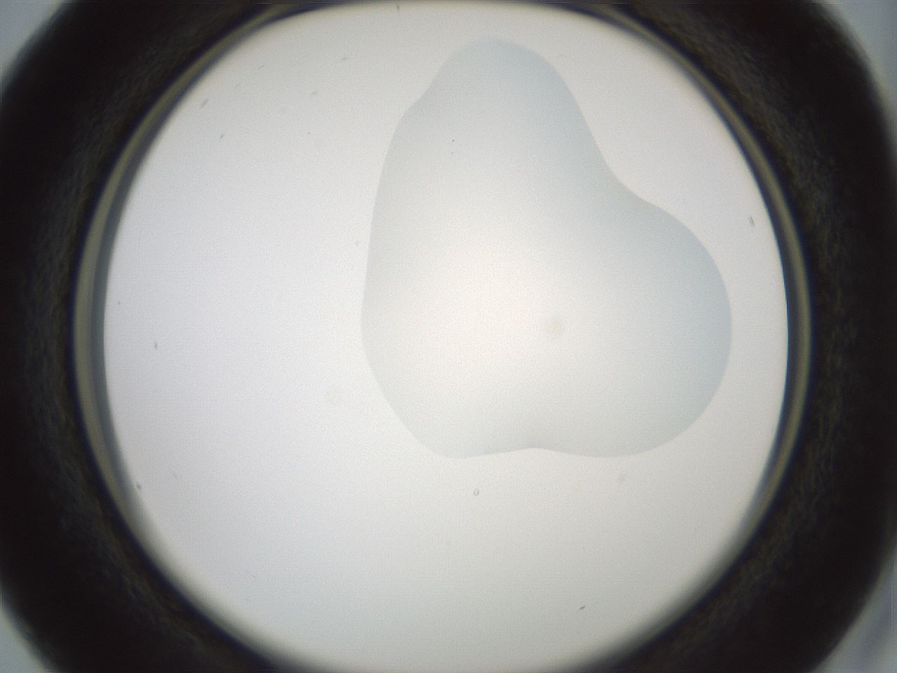 folderID266_plateID1266_batchID4191_wellNum16_profileID1_d2_r75671_ef.jpg