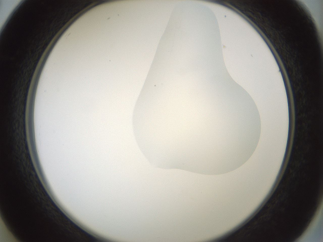 folderID266_plateID1266_batchID4191_wellNum26_profileID1_d2_r75691_ef.jpg