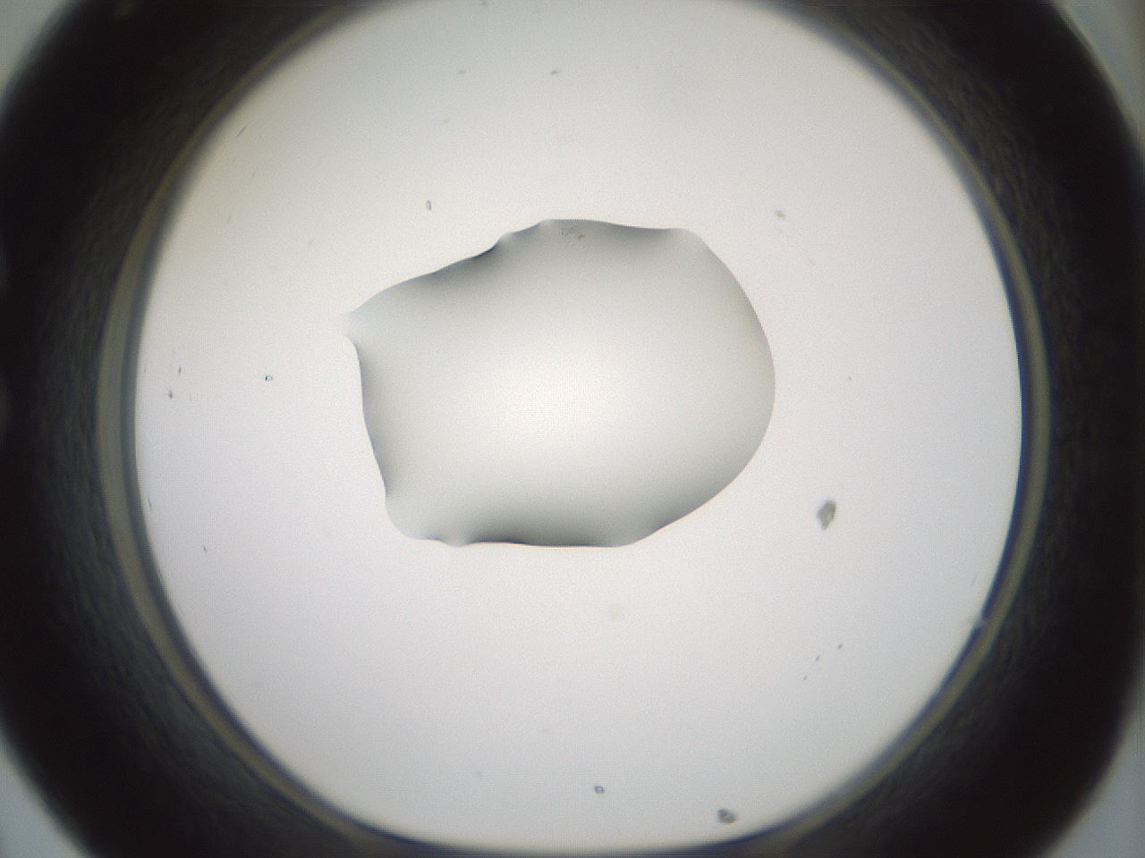 folderID266_plateID1266_batchID4191_wellNum32_profileID1_d1_r75702_ef.jpg