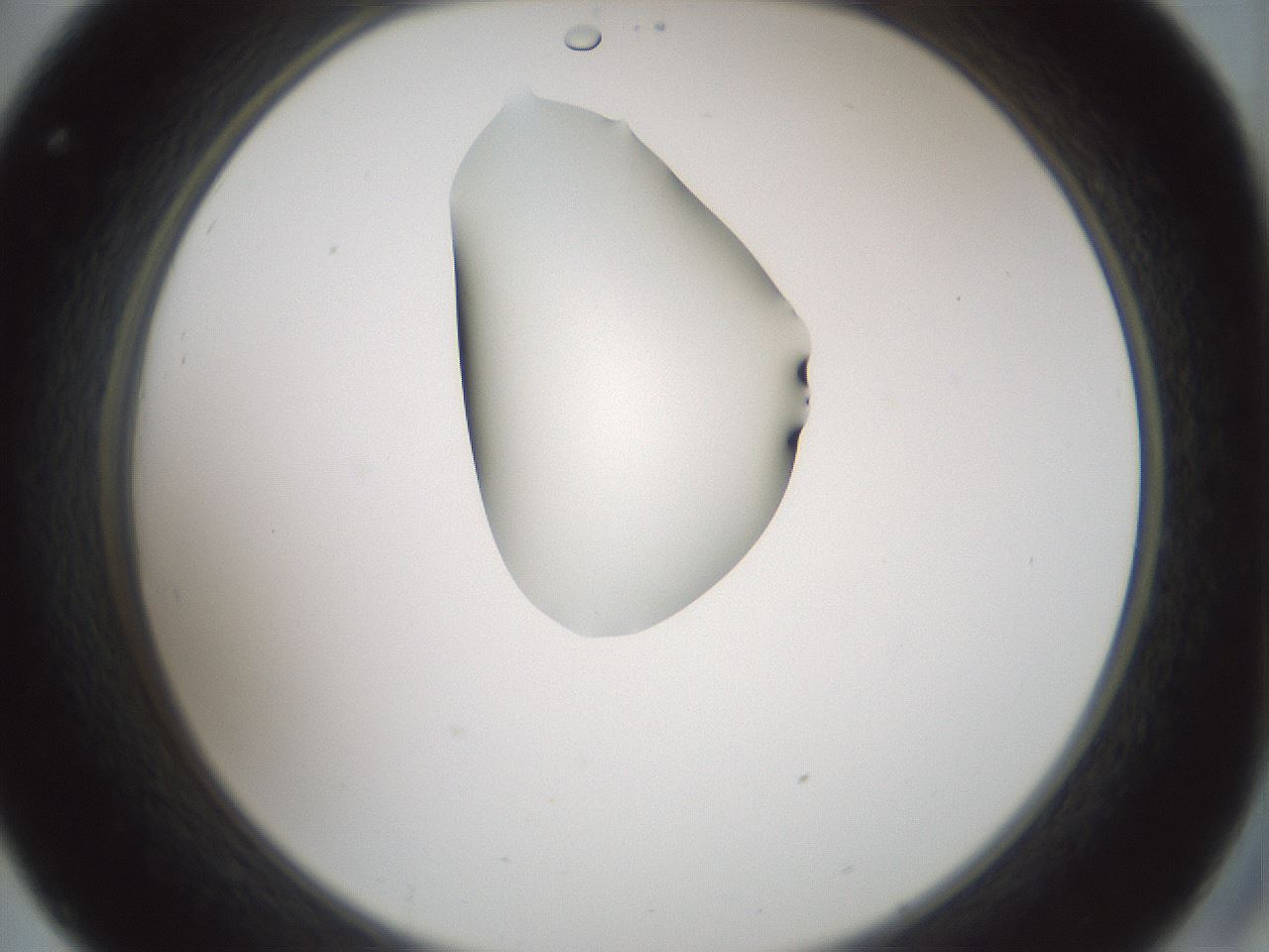 folderID266_plateID1266_batchID4191_wellNum32_profileID1_d2_r75703_ef.jpg