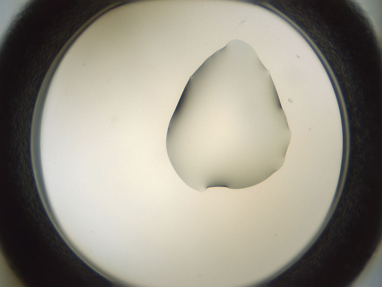 folderID266_plateID1266_batchID4191_wellNum37_profileID1_d2_r75713_ef.jpg