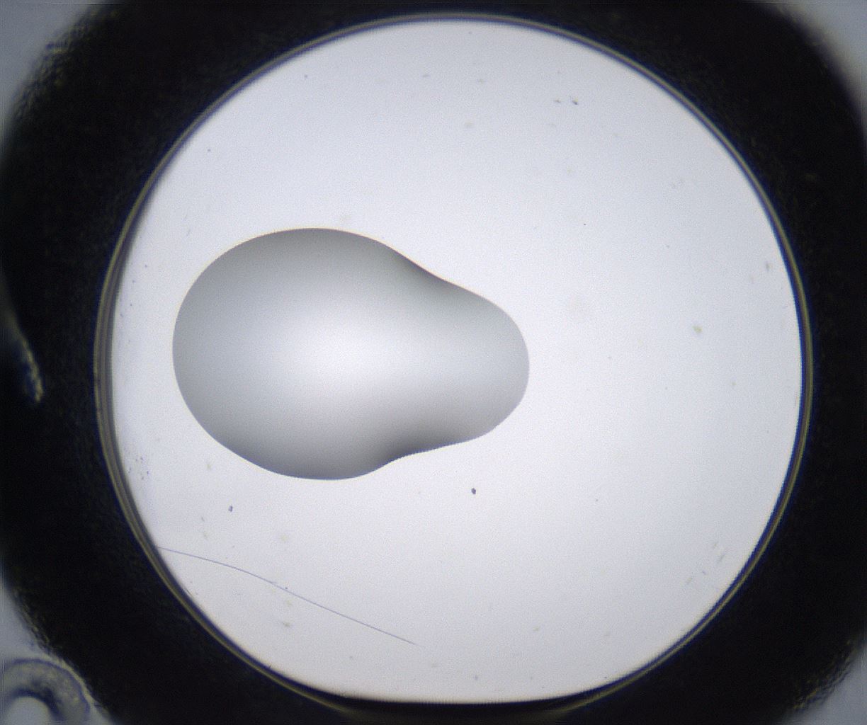 folderID266_plateID2266_batchID10358_wellNum10_profileID1_d1_r157963_ef.jpg