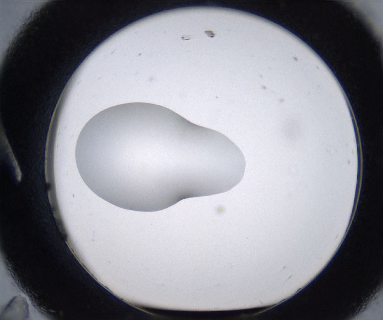 folderID266_plateID2266_batchID10358_wellNum11_profileID1_d1_r157964_ef.jpg
