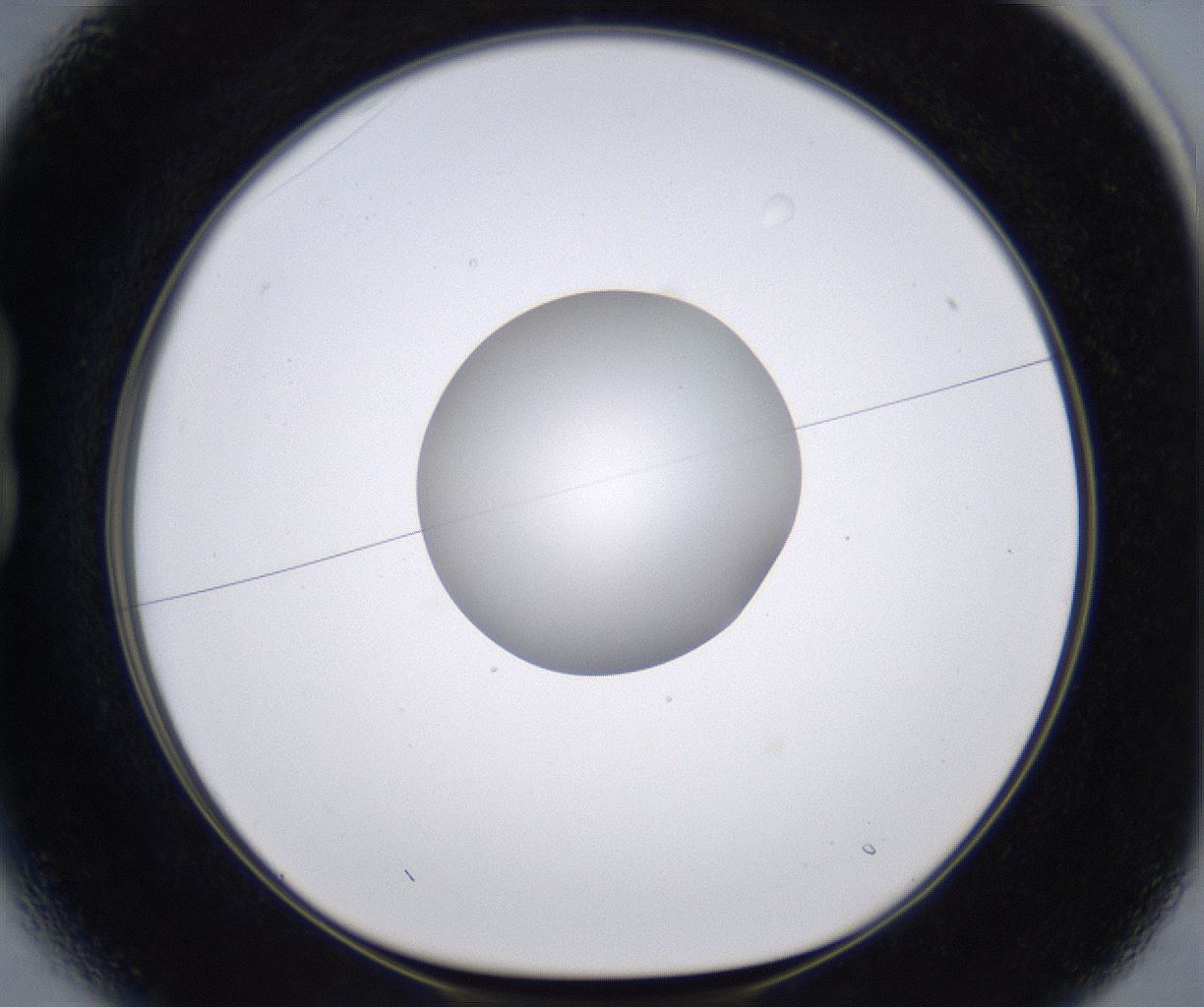 folderID266_plateID2266_batchID10358_wellNum13_profileID1_d1_r157966_ef.jpg