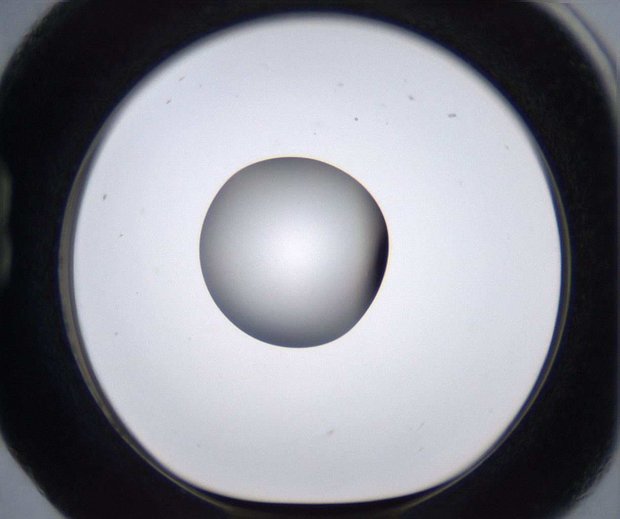 folderID266_plateID2266_batchID10358_wellNum17_profileID1_d1_r157970_ef.jpg