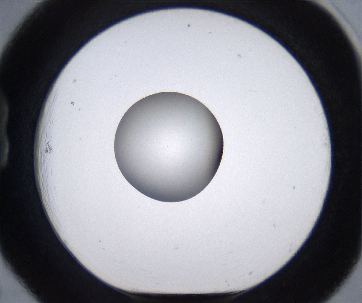 folderID266_plateID2266_batchID10358_wellNum18_profileID1_d1_r157971_ef.jpg
