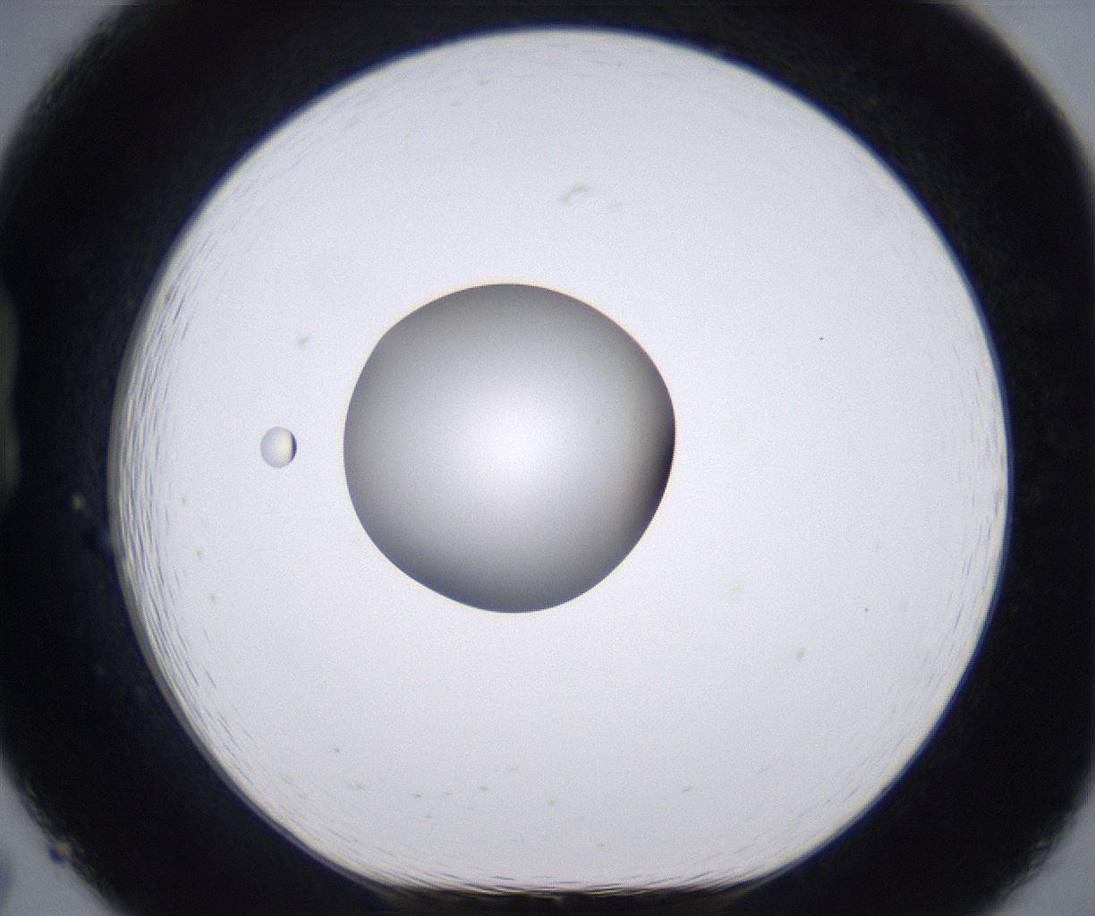 folderID266_plateID2266_batchID10358_wellNum19_profileID1_d1_r157972_ef.jpg
