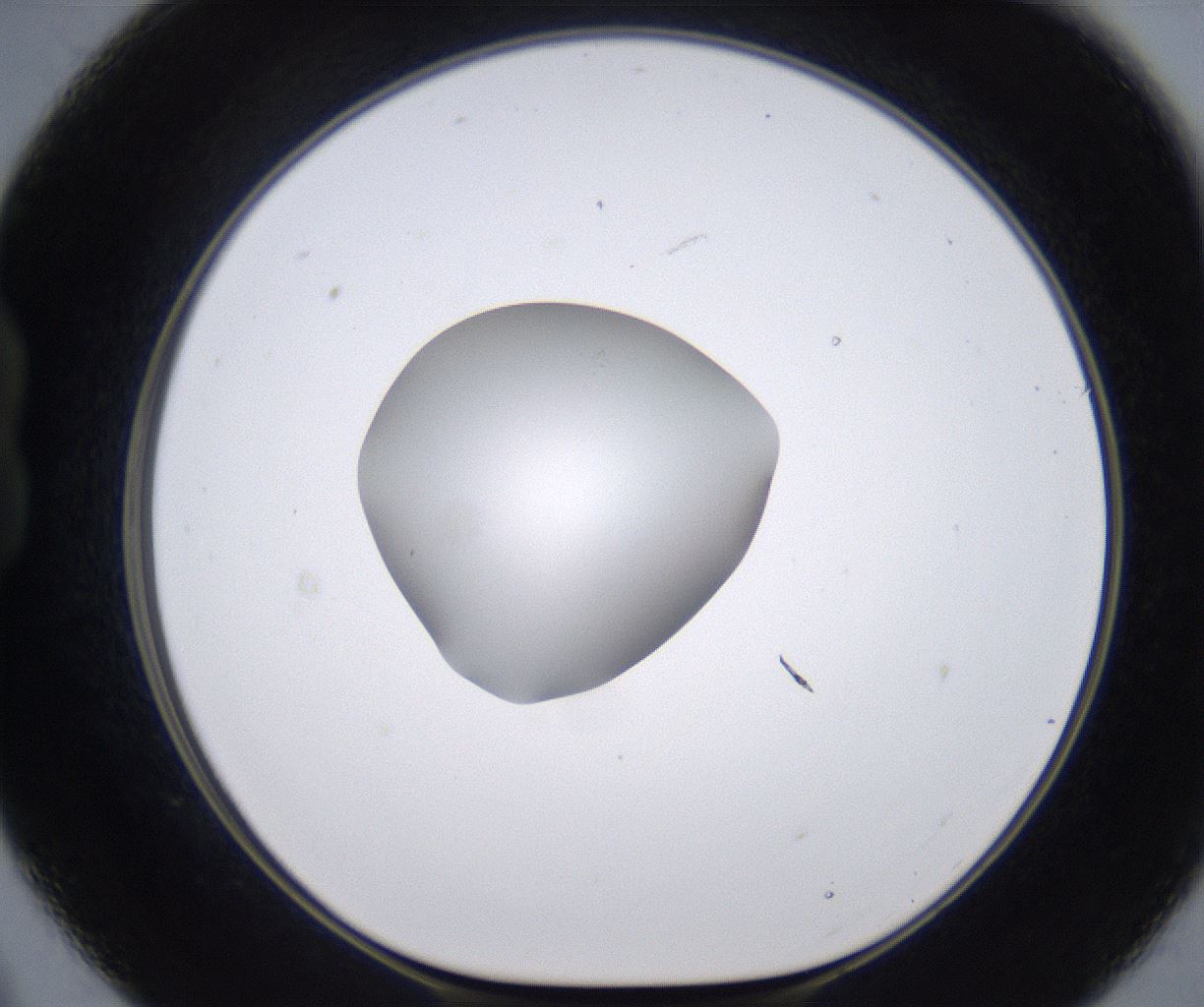 folderID266_plateID2266_batchID10358_wellNum21_profileID1_d1_r157974_ef.jpg