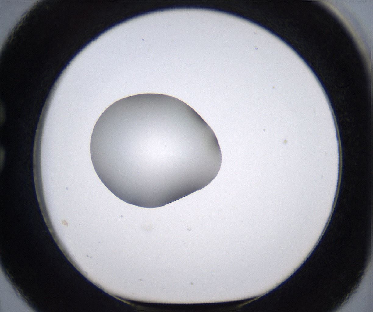 folderID266_plateID2266_batchID10358_wellNum26_profileID1_d1_r157979_ef.jpg