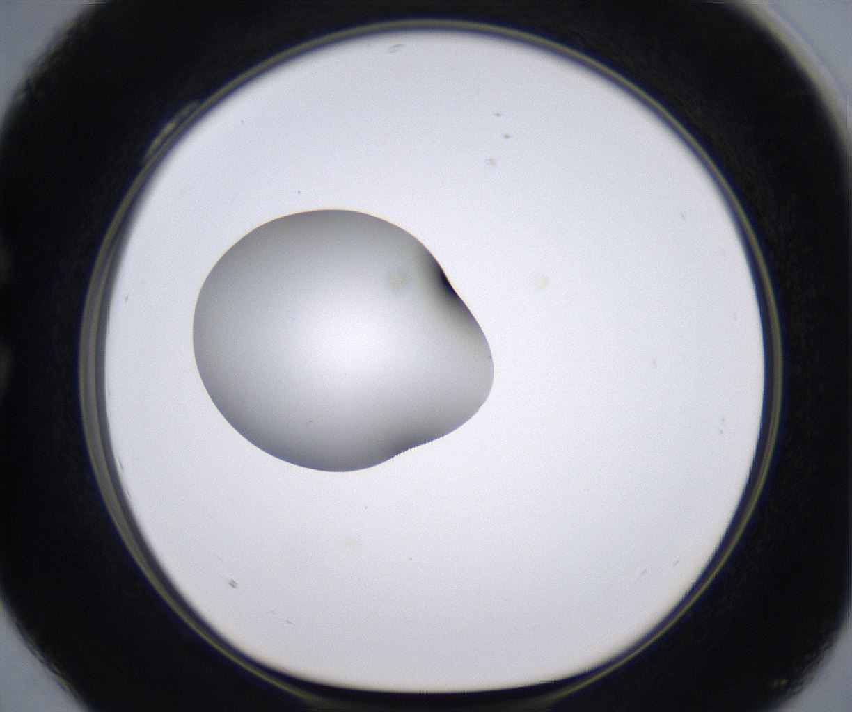 folderID266_plateID2266_batchID10358_wellNum28_profileID1_d1_r157981_ef.jpg