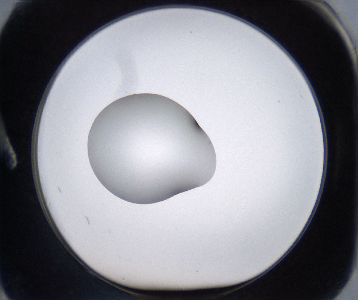 folderID266_plateID2266_batchID10358_wellNum2_profileID1_d1_r157955_ef.jpg