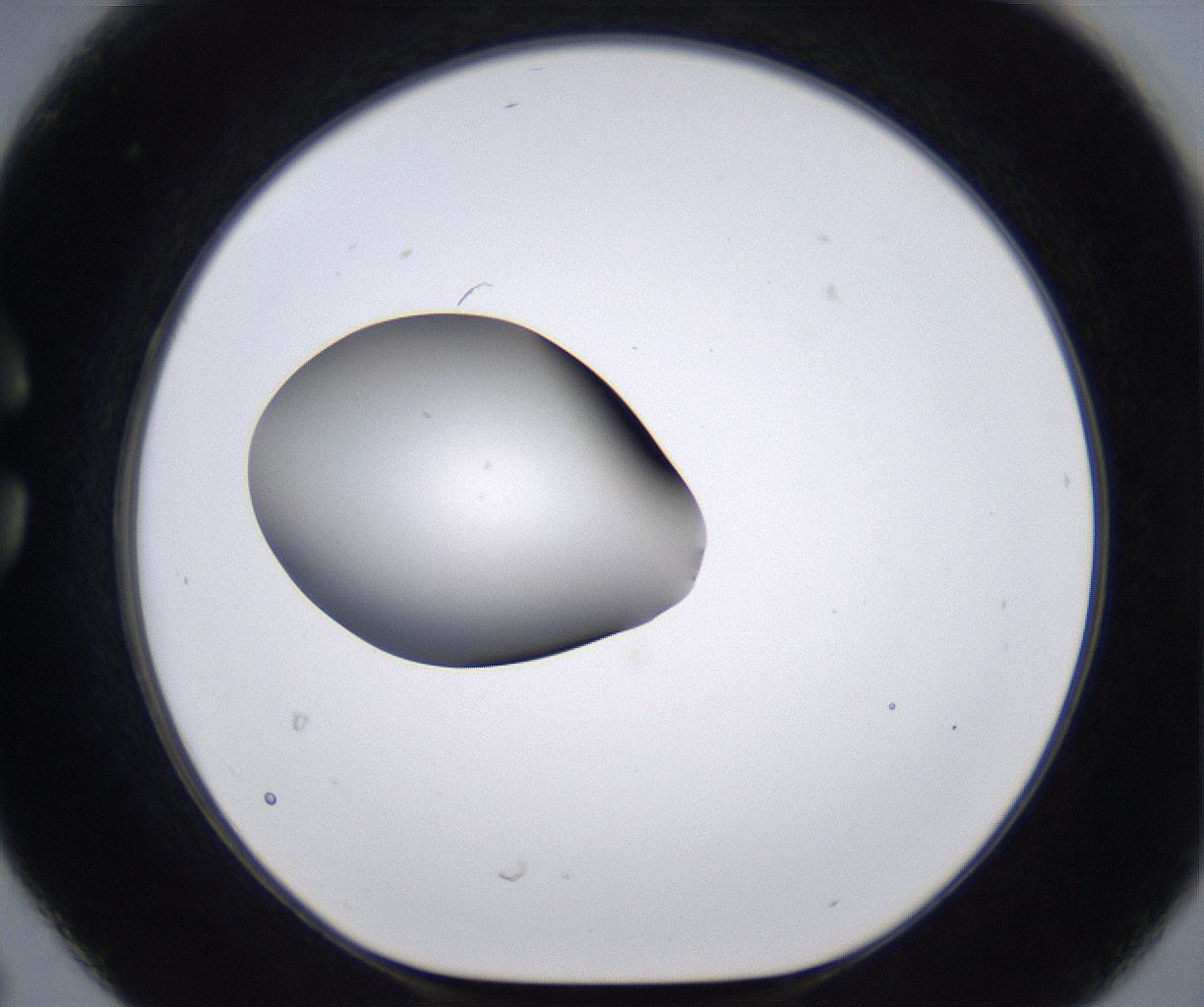 folderID266_plateID2266_batchID10358_wellNum30_profileID1_d1_r157983_ef.jpg