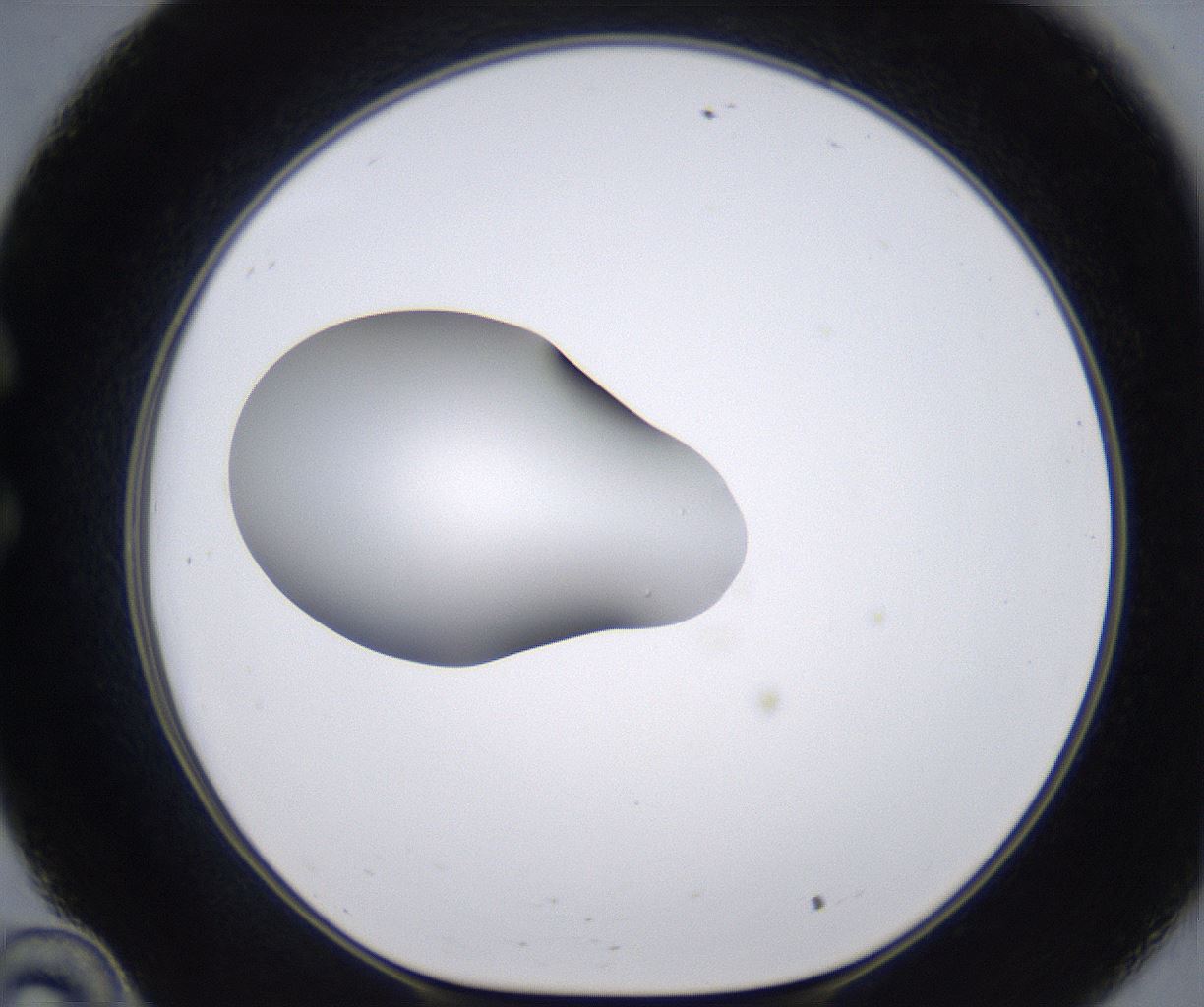 folderID266_plateID2266_batchID10358_wellNum34_profileID1_d1_r157987_ef.jpg