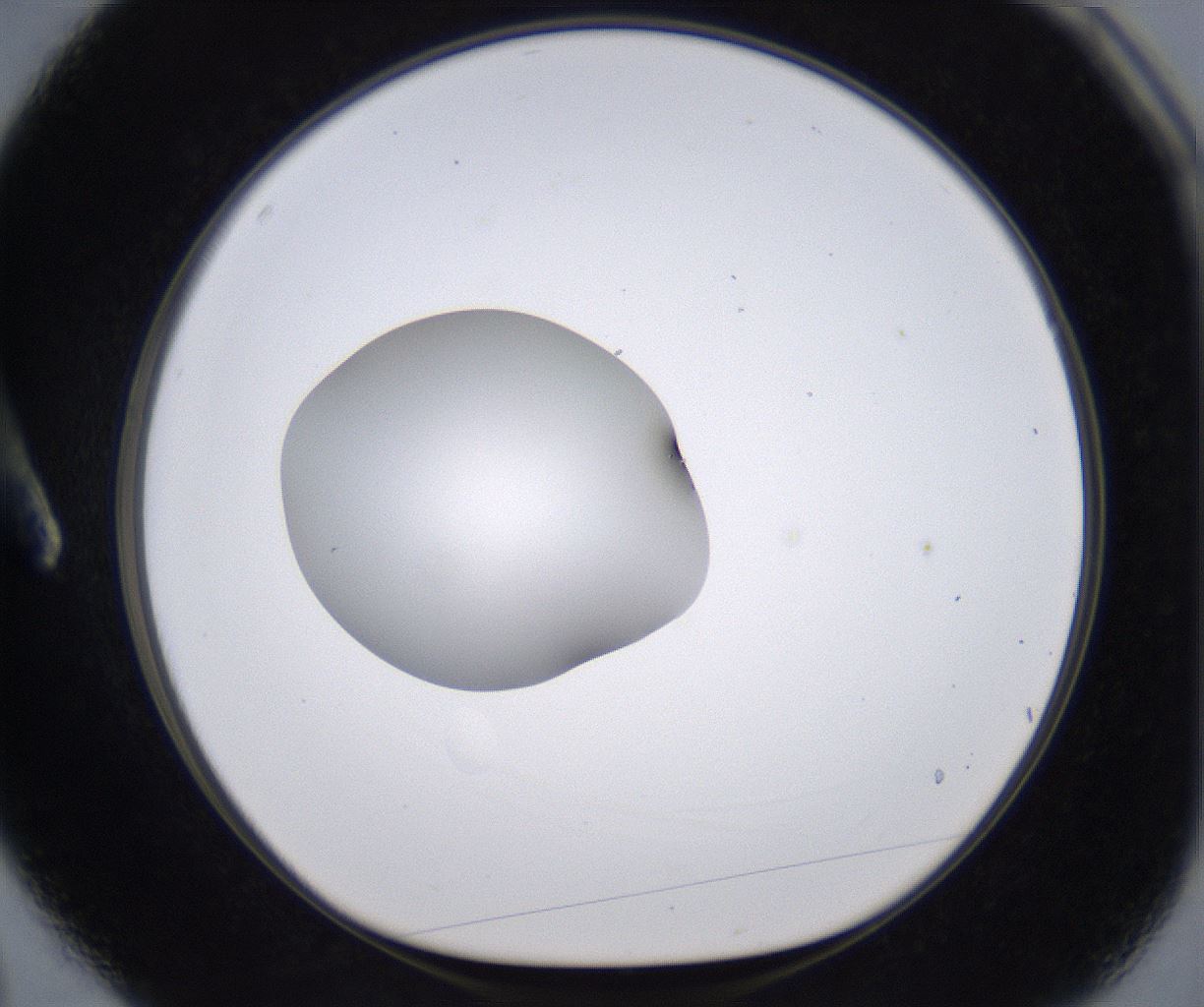 folderID266_plateID2266_batchID10358_wellNum3_profileID1_d1_r157956_ef.jpg