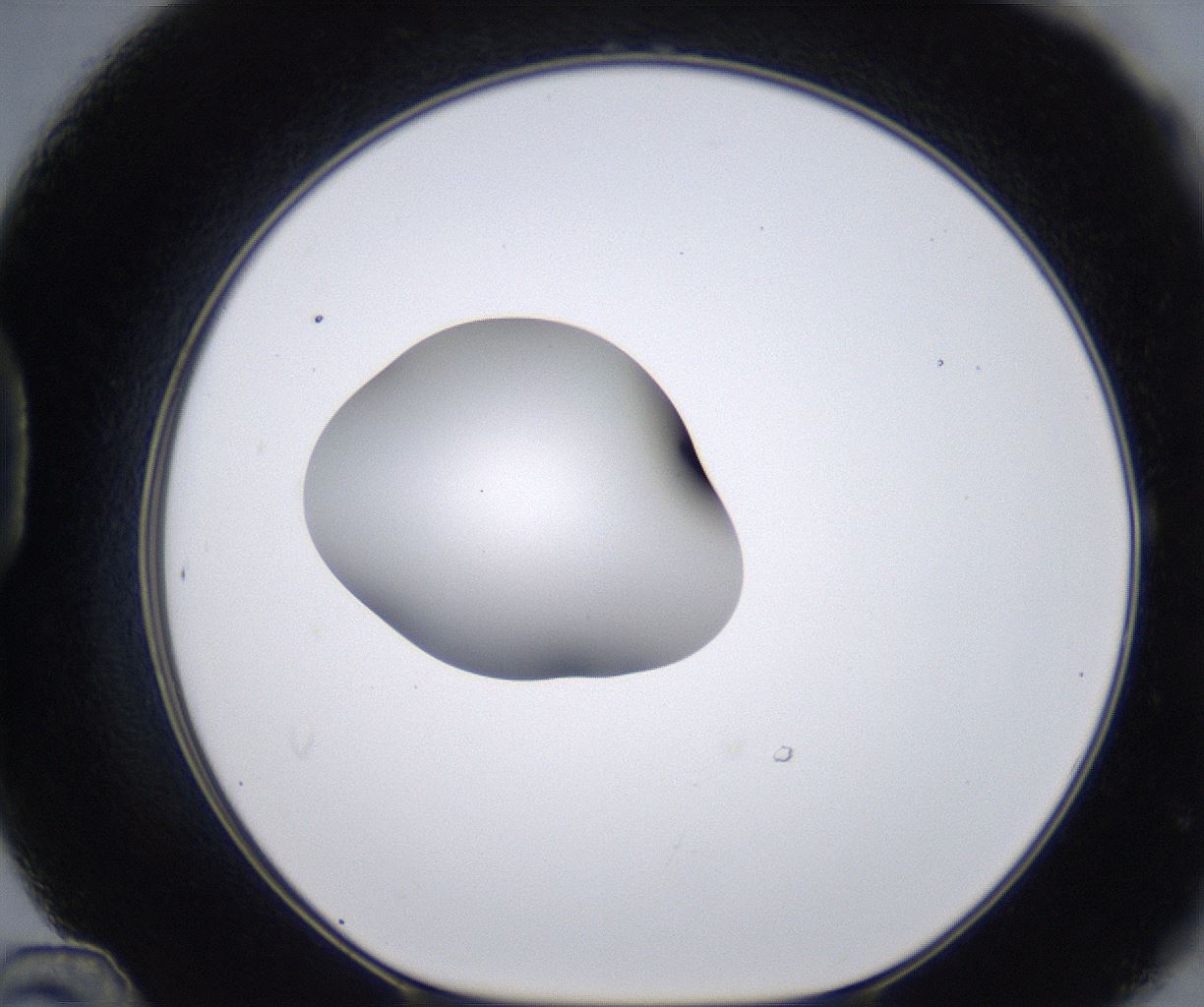 folderID266_plateID2266_batchID10358_wellNum48_profileID1_d1_r158001_ef.jpg
