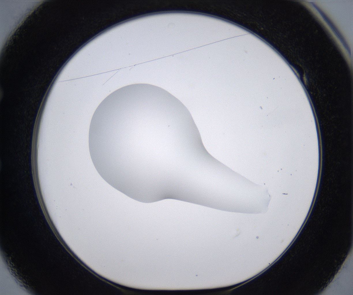 folderID266_plateID2266_batchID10358_wellNum49_profileID1_d1_r158002_ef.jpg