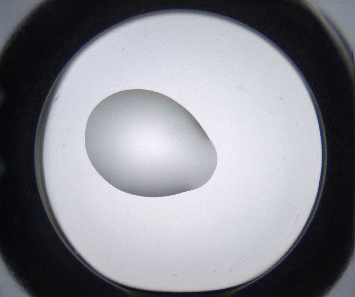 folderID266_plateID2266_batchID10358_wellNum51_profileID1_d1_r158004_ef.jpg