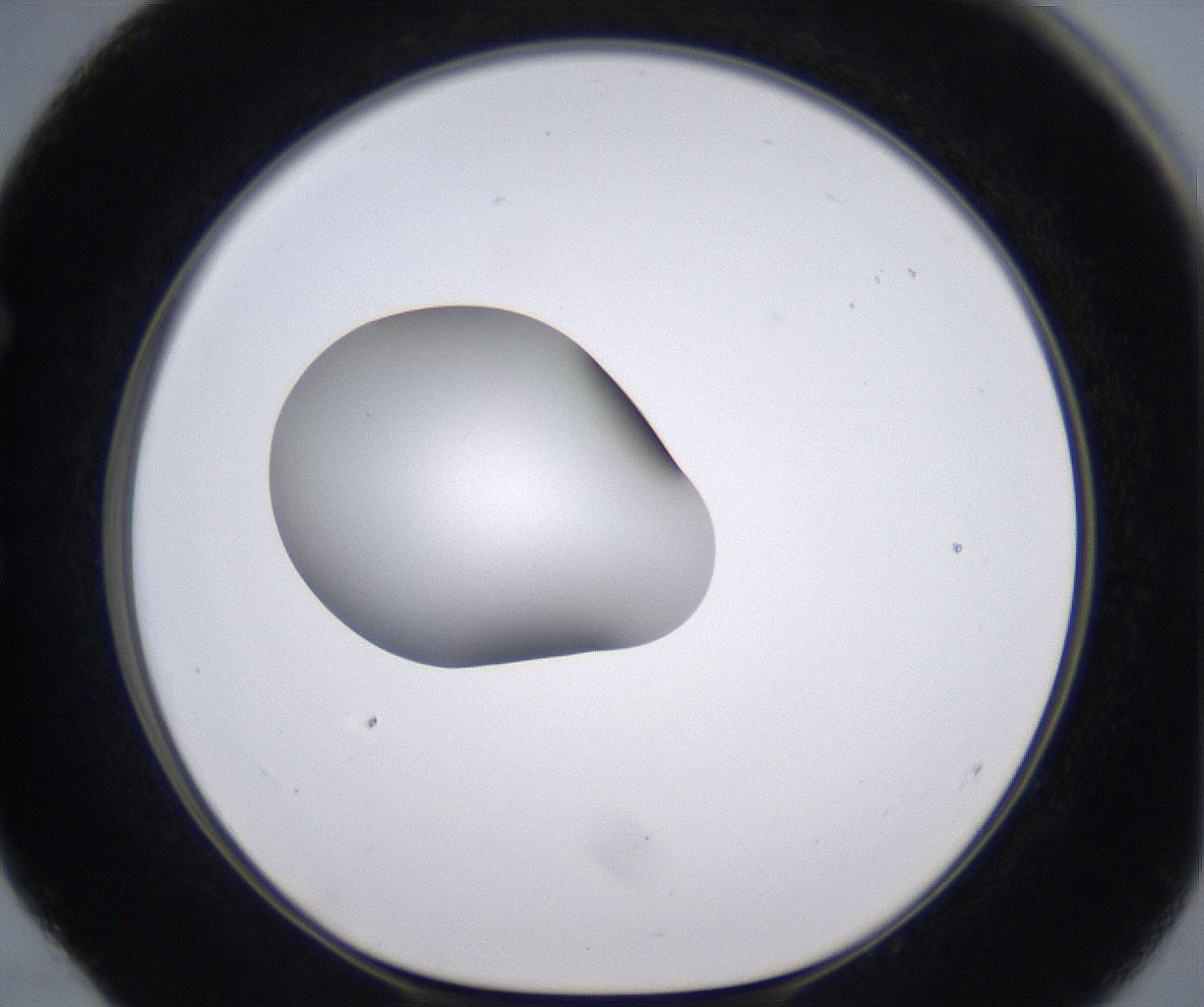 folderID266_plateID2266_batchID10358_wellNum52_profileID1_d1_r158005_ef.jpg