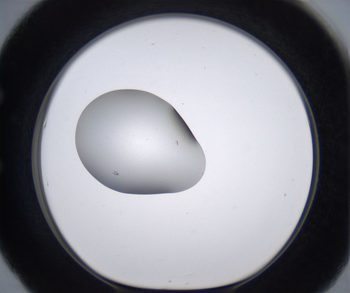 folderID266_plateID2266_batchID10358_wellNum53_profileID1_d1_r158006_ef.jpg