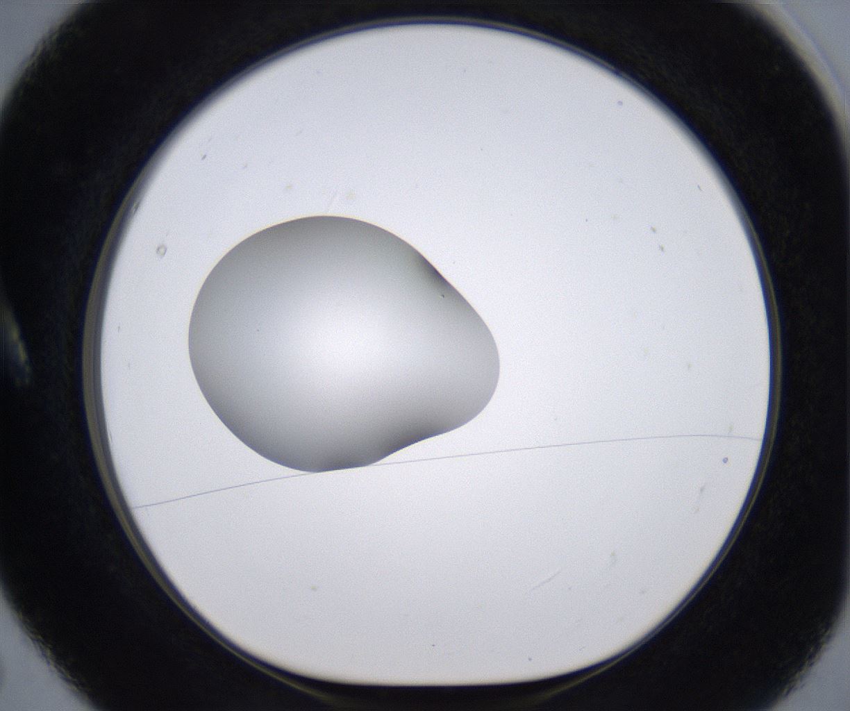 folderID266_plateID2266_batchID10358_wellNum5_profileID1_d1_r157958_ef.jpg