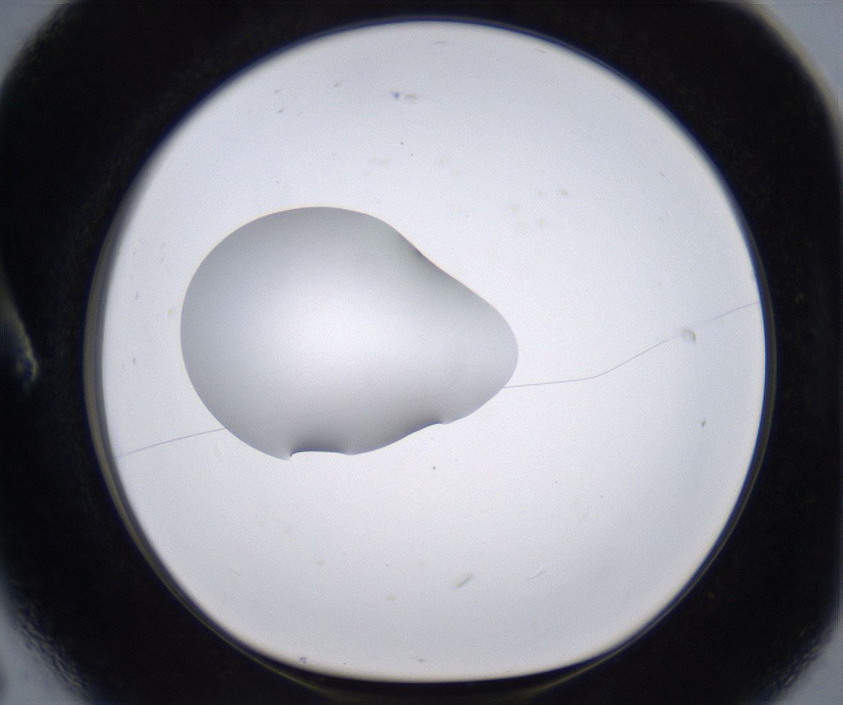 folderID266_plateID2266_batchID10358_wellNum6_profileID1_d1_r157959_ef.jpg