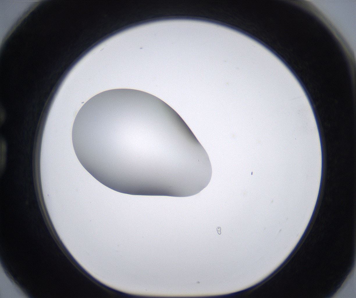 folderID266_plateID2266_batchID10358_wellNum78_profileID1_d1_r158031_ef.jpg