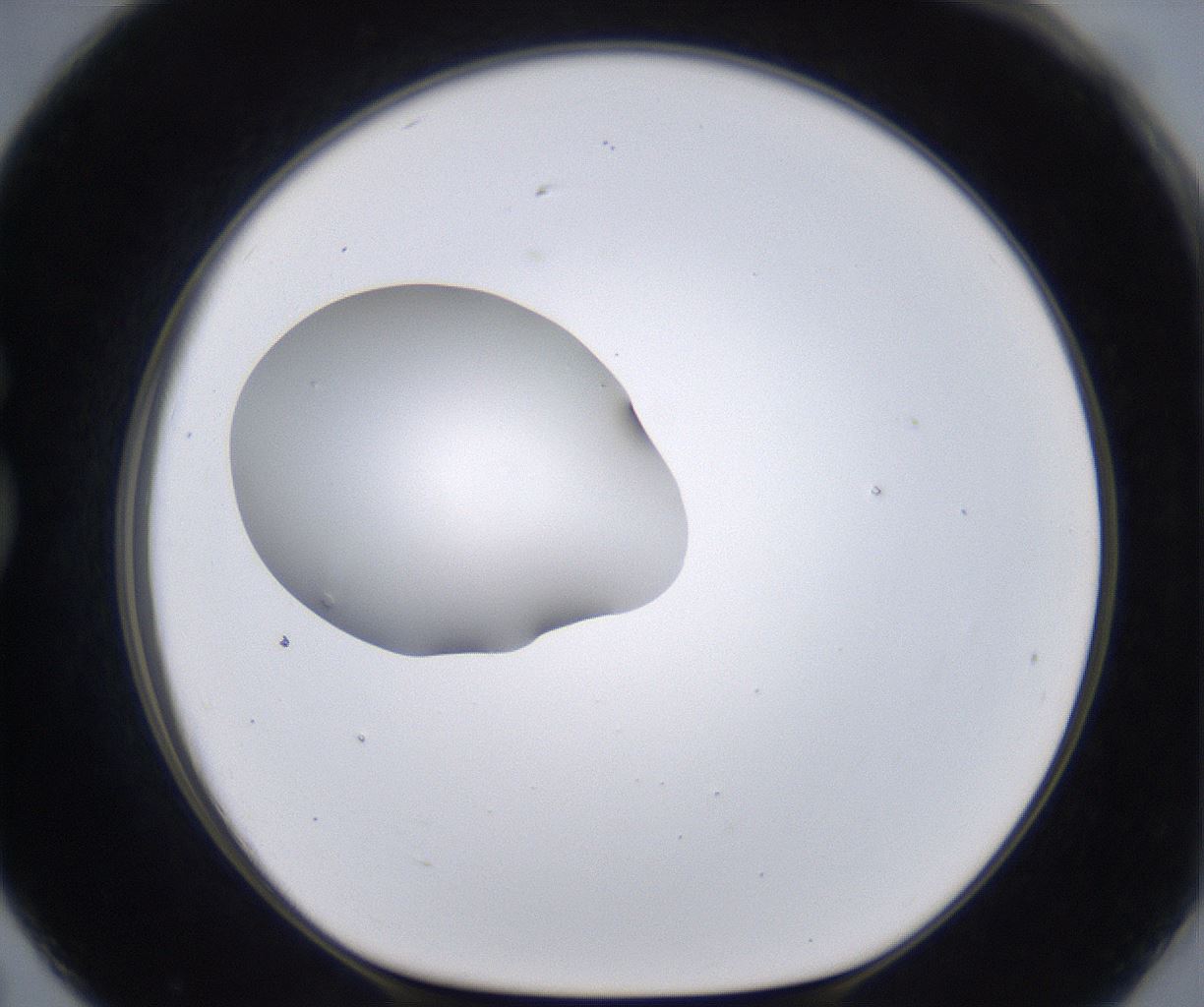 folderID266_plateID2266_batchID10358_wellNum79_profileID1_d1_r158032_ef.jpg