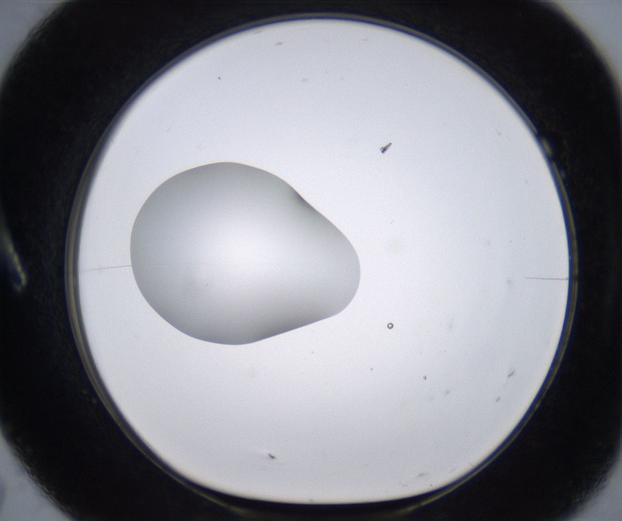 folderID266_plateID2266_batchID10358_wellNum7_profileID1_d1_r157960_ef.jpg