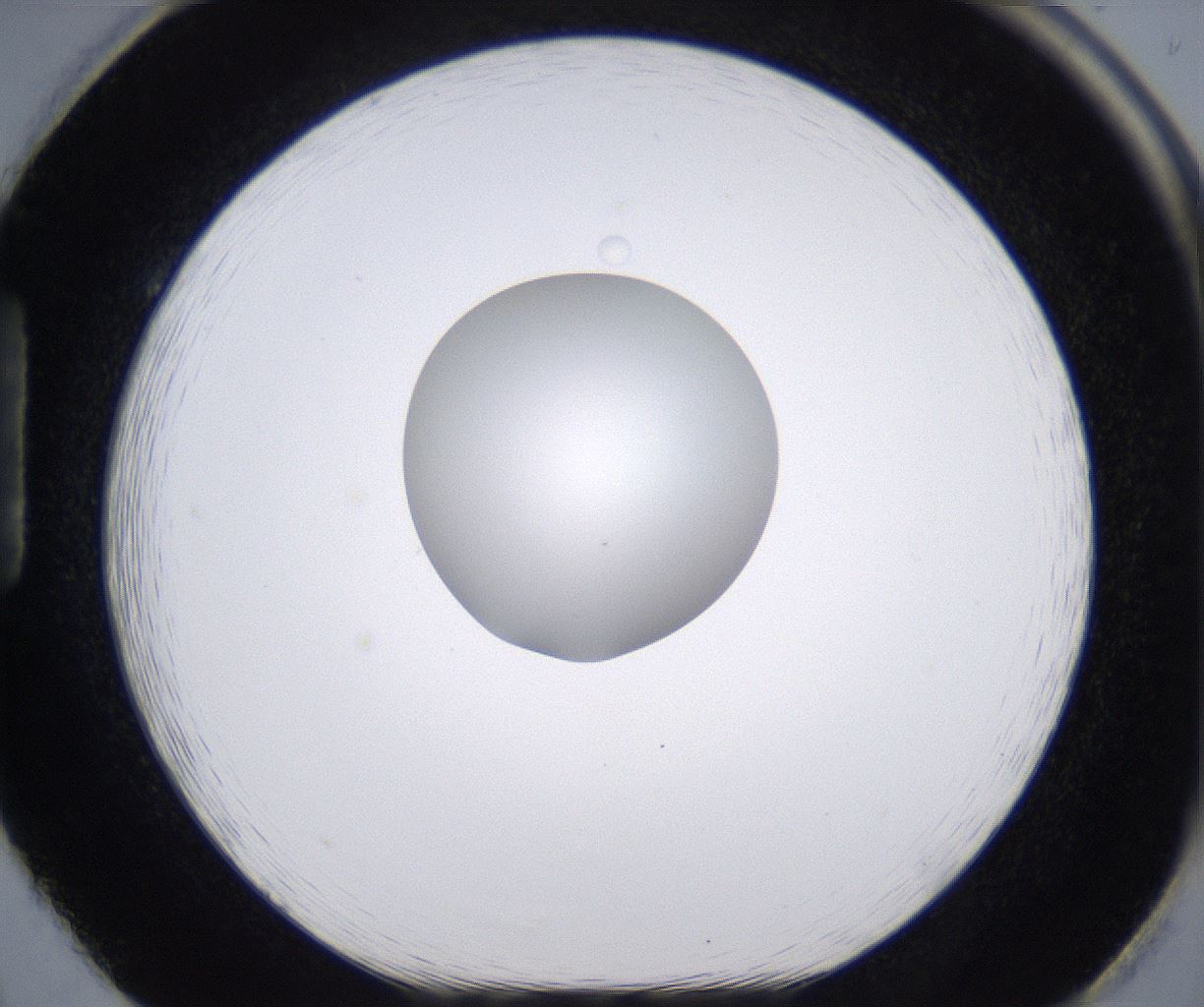 folderID266_plateID2266_batchID10358_wellNum86_profileID1_d1_r158039_ef.jpg