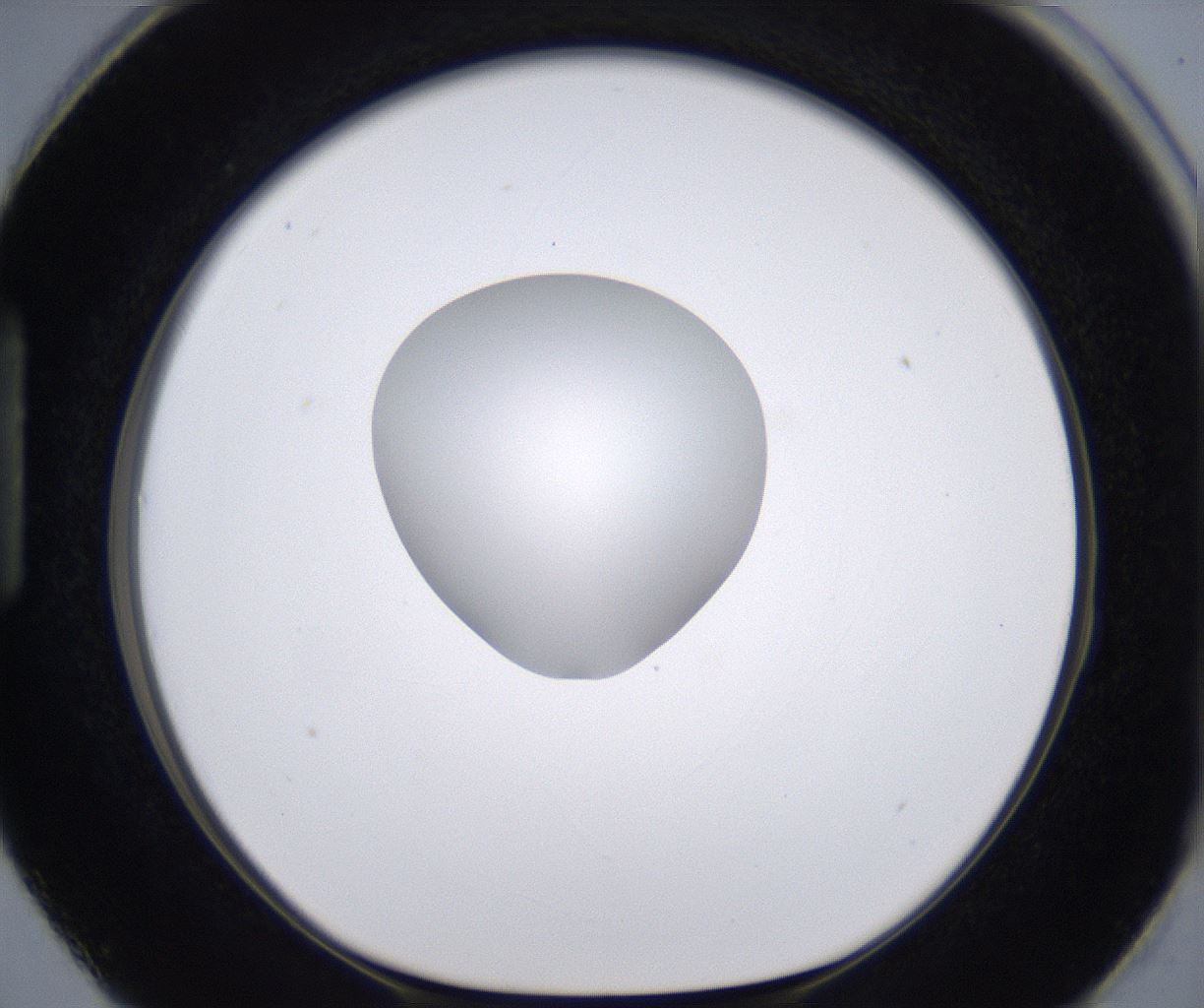 folderID266_plateID2266_batchID10358_wellNum87_profileID1_d1_r158040_ef.jpg