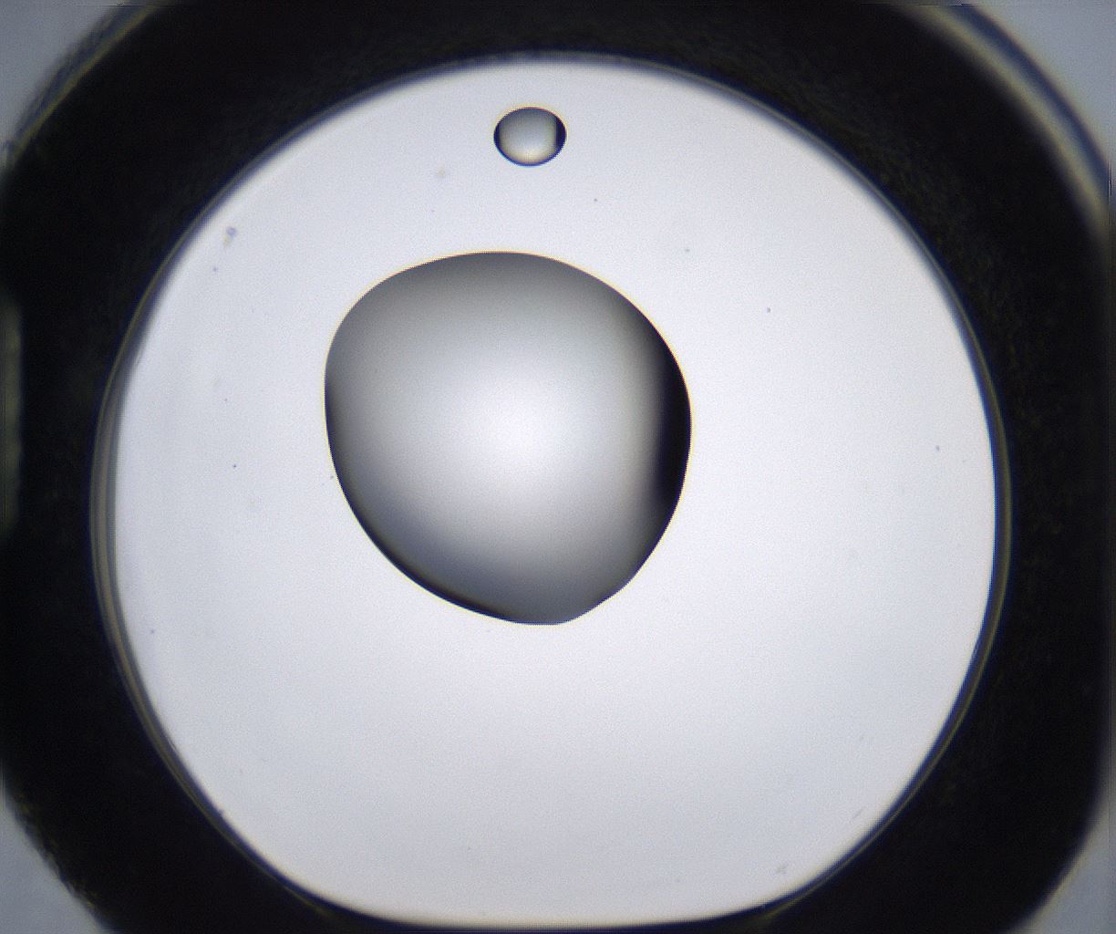 folderID266_plateID2266_batchID10358_wellNum88_profileID1_d1_r158041_ef.jpg