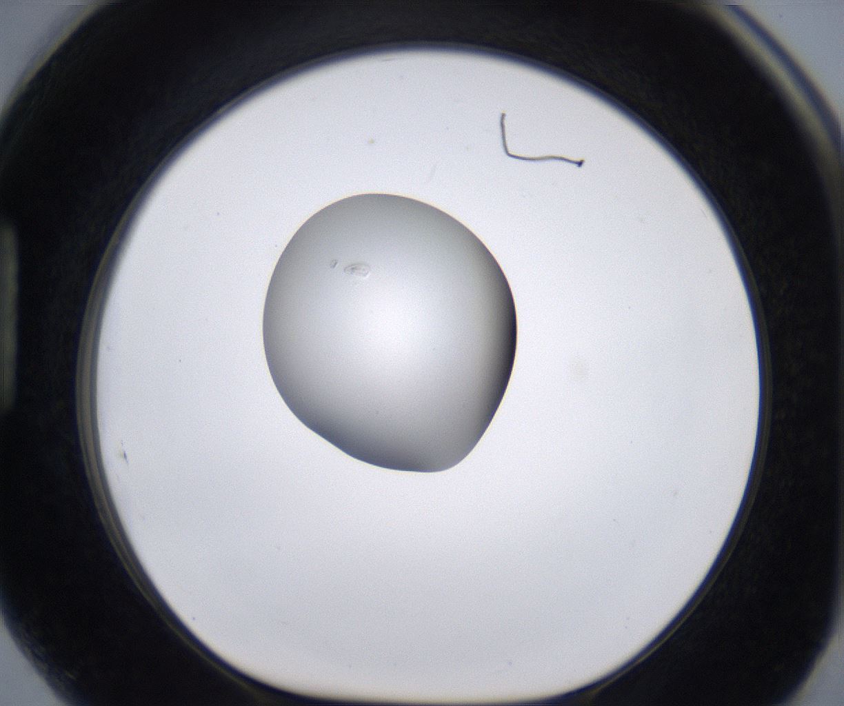 folderID266_plateID2266_batchID10358_wellNum89_profileID1_d1_r158042_ef.jpg