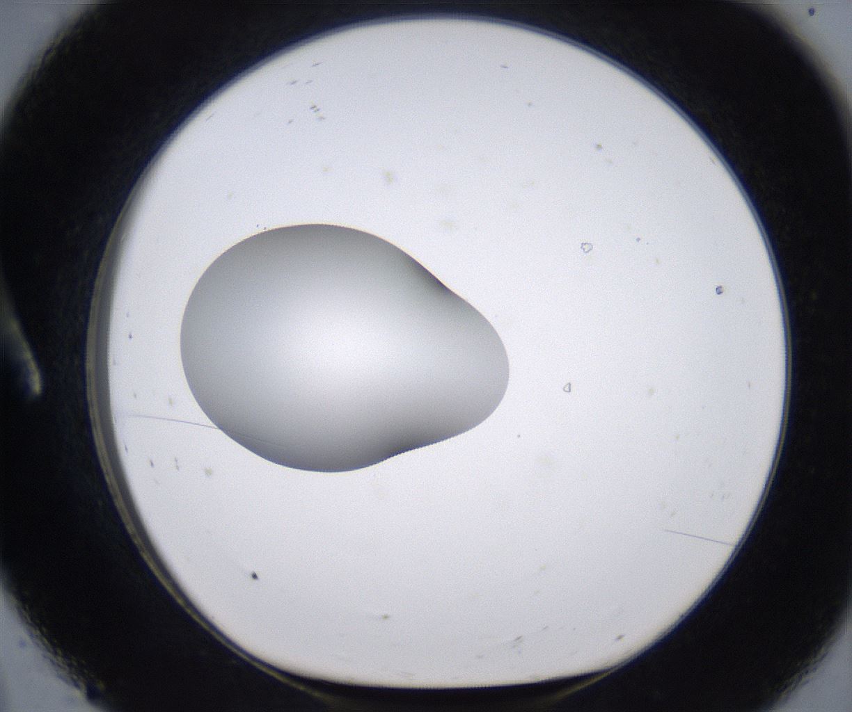 folderID266_plateID2266_batchID10358_wellNum8_profileID1_d1_r157961_ef.jpg