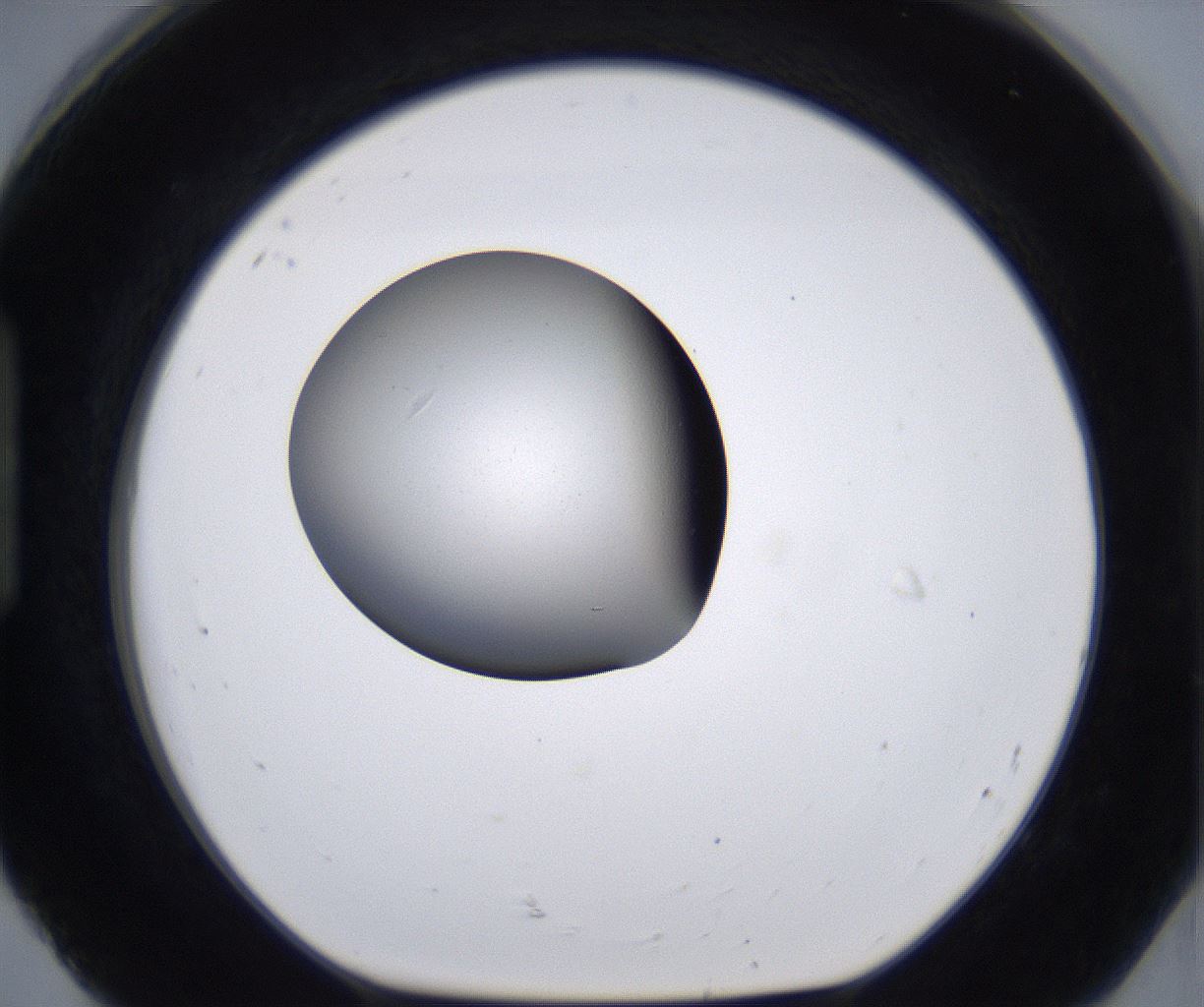 folderID266_plateID2266_batchID10358_wellNum92_profileID1_d1_r158045_ef.jpg