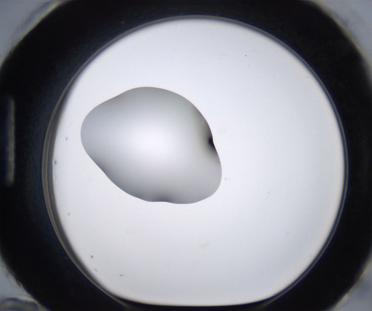 folderID266_plateID2266_batchID10358_wellNum96_profileID1_d1_r158049_ef.jpg
