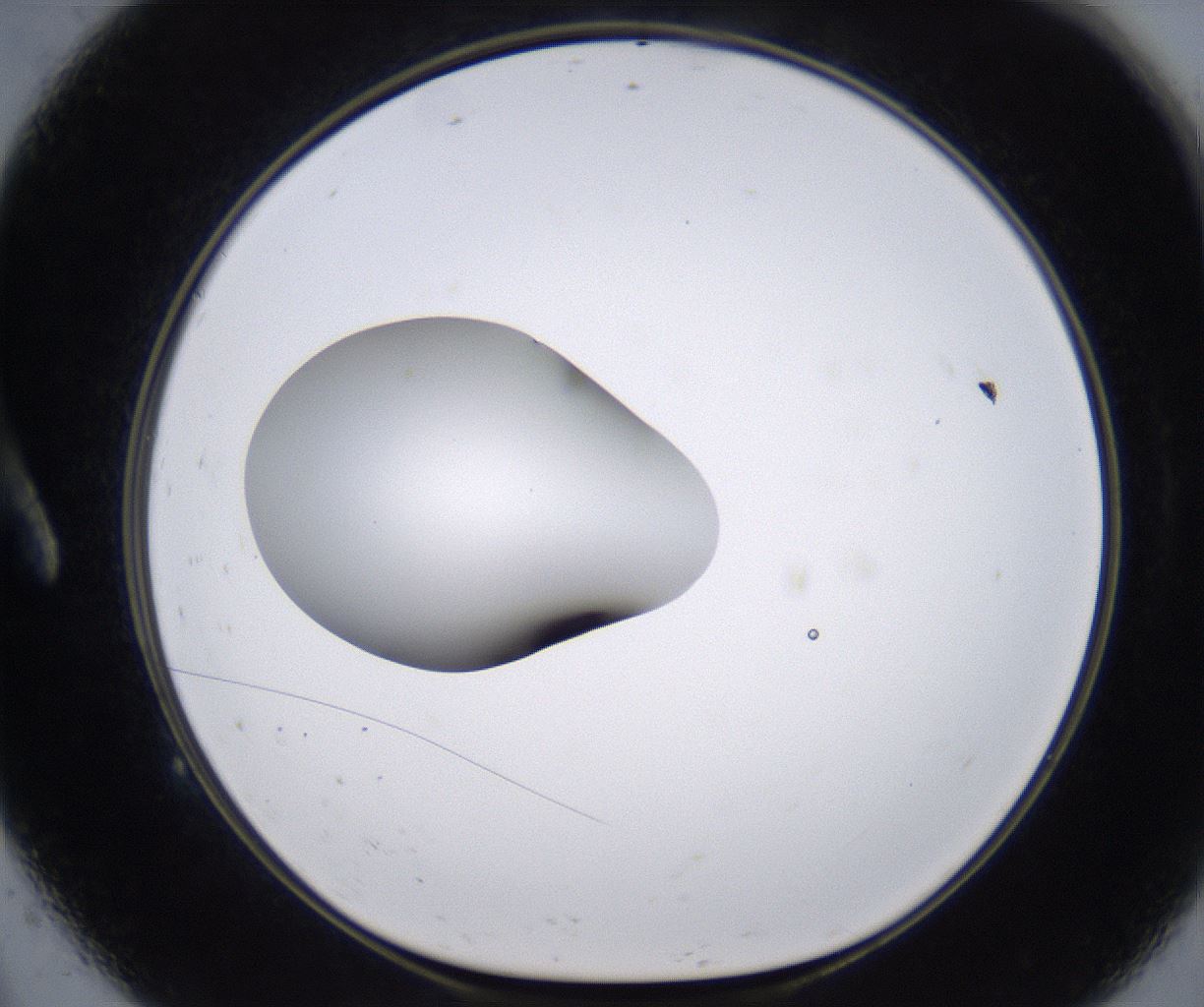 folderID266_plateID2266_batchID10358_wellNum9_profileID1_d1_r157962_ef.jpg