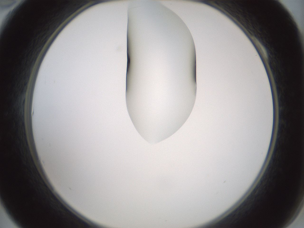 folderID267_plateID1267_batchID4193_wellNum10_profileID1_d2_r76235_ef.jpg